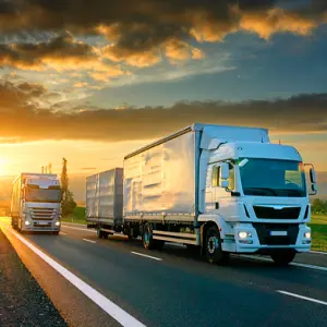 Società di Trasporti a Temperatura Controllata